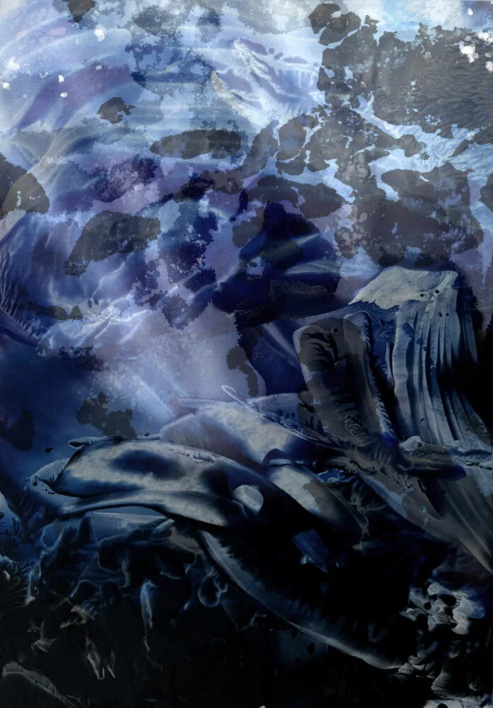Dark shadow sea